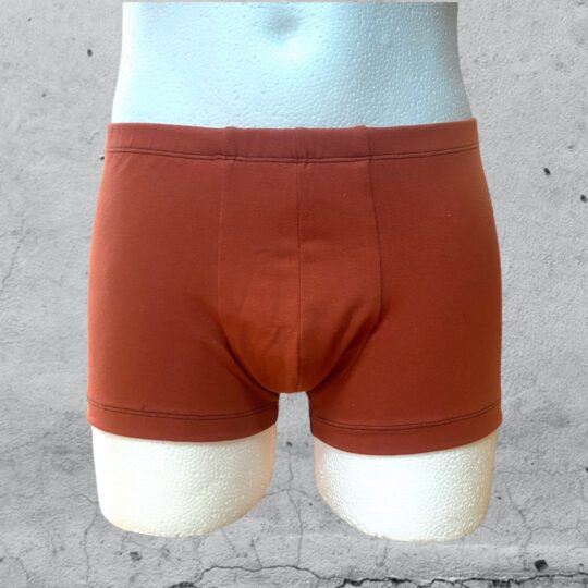 Boxershorts „Philipp“ Viskosejersey - terrakotta